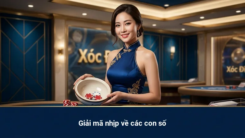 Giải mã nhịp về các con số